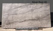 Silver Root B 3D